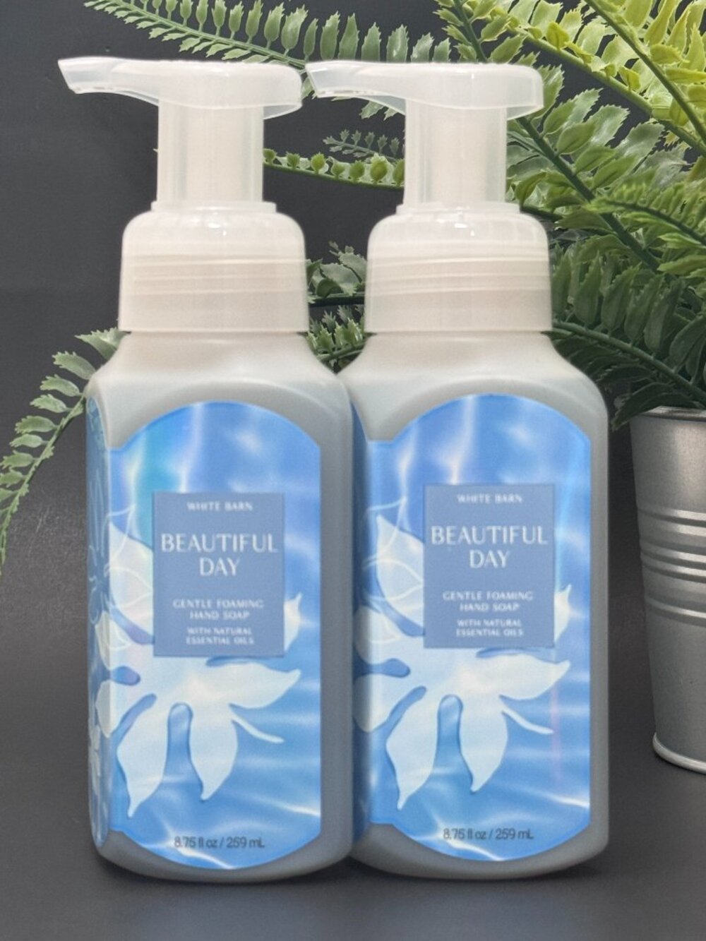 Bath & Body Works BBW White Barn Beautiful Day Gentle Foaming Hand Soaps X 2